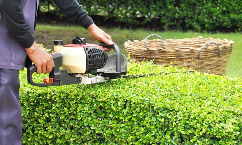 toulouse baziege SAP aide domicile entretien exterieur jardin taille haie